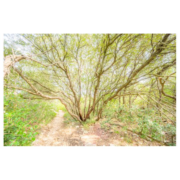 PHOTO84, CLUB, 84 , LUBERON